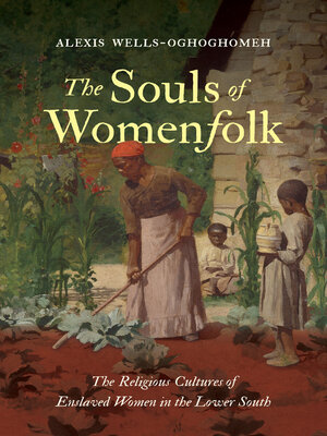 cover image of The Souls of Womenfolk